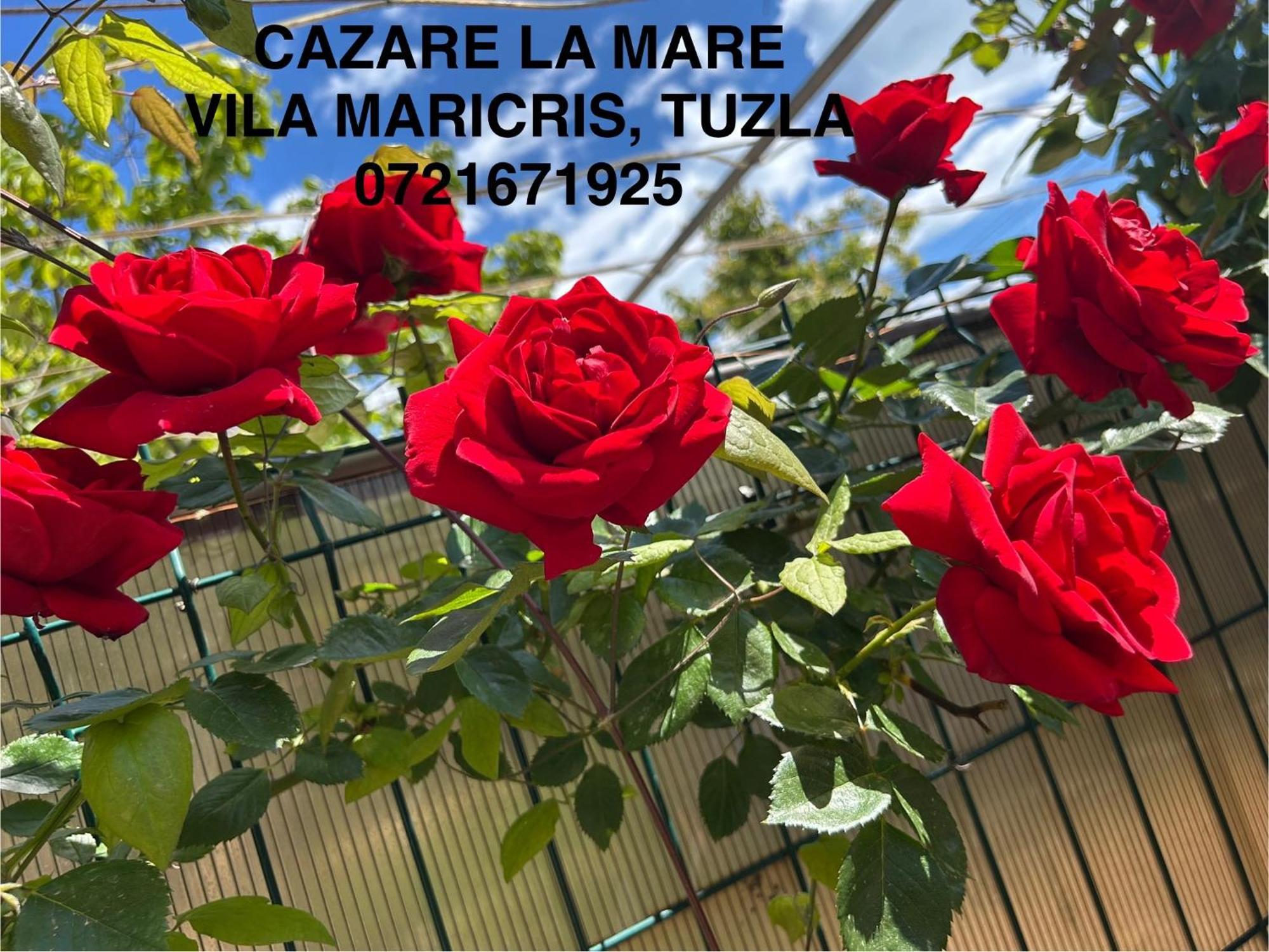 Vila Maricris Tuzla Exterior photo